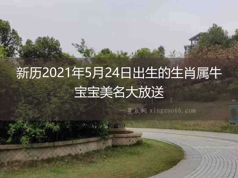 新歷2021年5月24日出生的生肖屬牛寶寶美名大放送