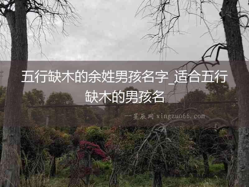 五行缺木的余姓男孩名字_適合五行缺木的男孩名
