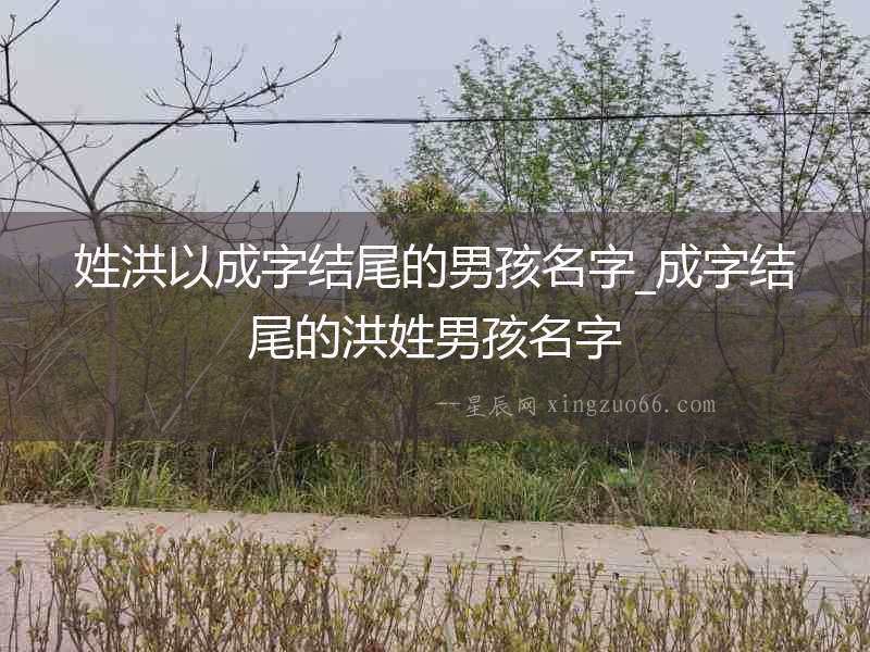 姓洪以成字結尾的男孩名字_成字結尾的洪姓男孩名字