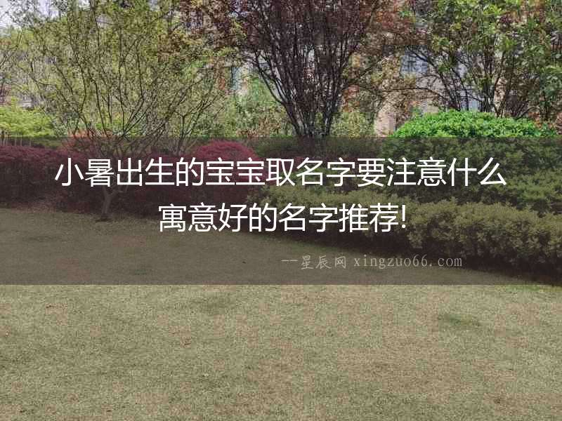 小暑出生的寶寶取名字要注意什么寓意好的名字推薦!