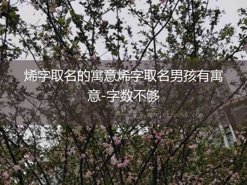 烯字取名的寓意烯字取名男孩有寓意-字?jǐn)?shù)不夠
