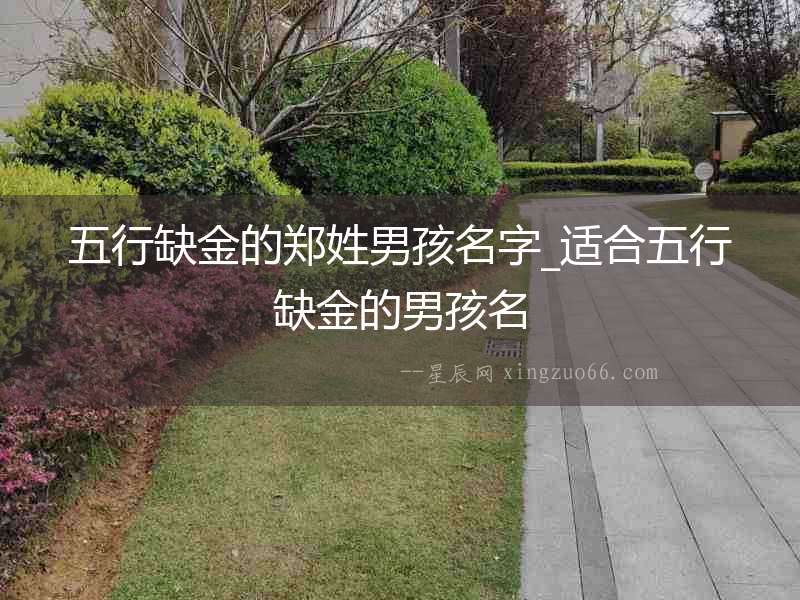 五行缺金的鄭姓男孩名字_適合五行缺金的男孩名