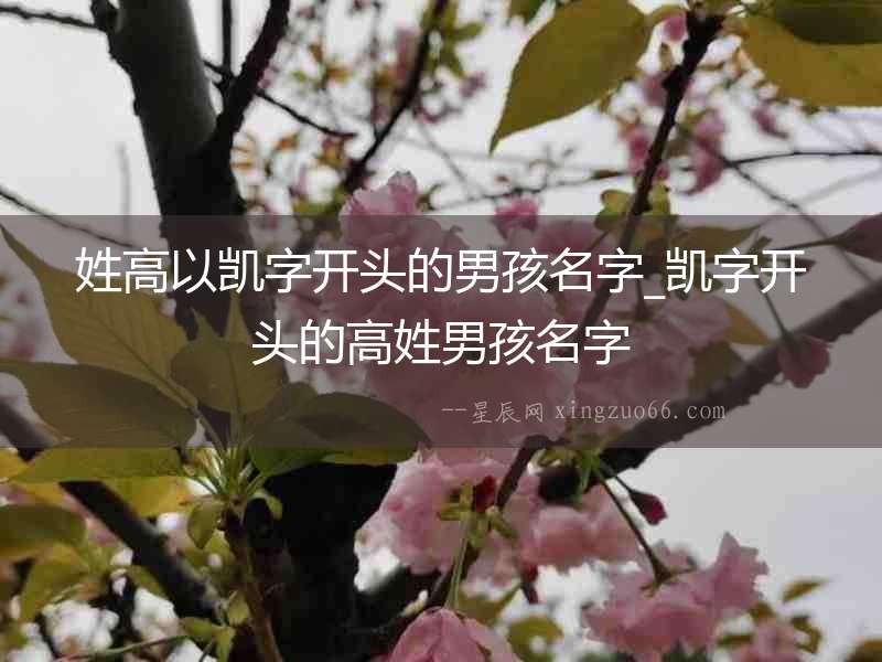 姓高以凱字開頭的男孩名字_凱字開頭的高姓男孩名字
