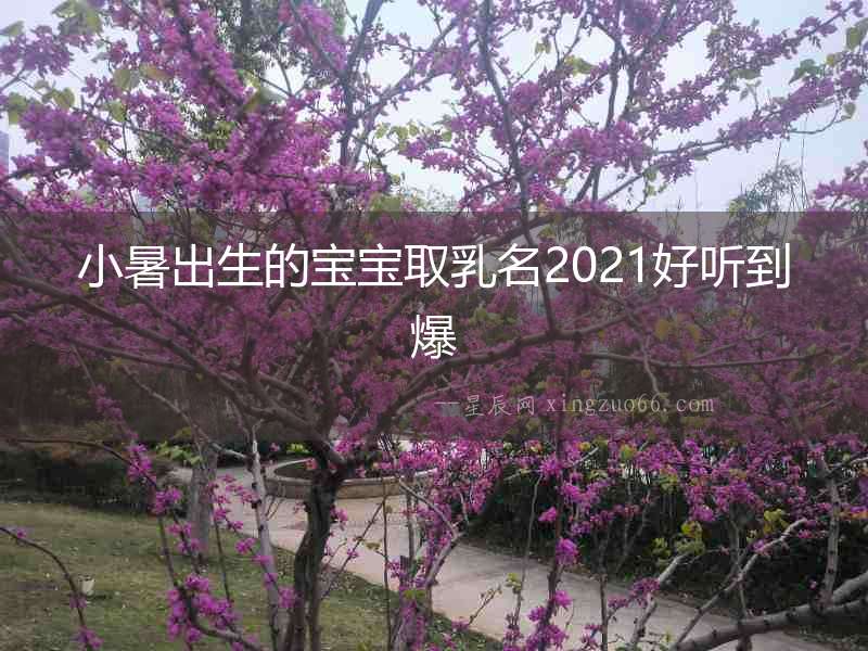 小暑出生的寶寶取乳名2021好聽到爆