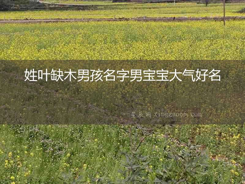 姓葉缺木男孩名字男寶寶大氣好名
