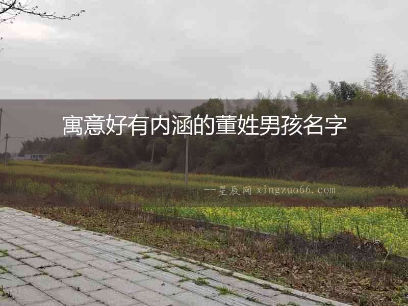 寓意好有內涵的董姓男孩名字