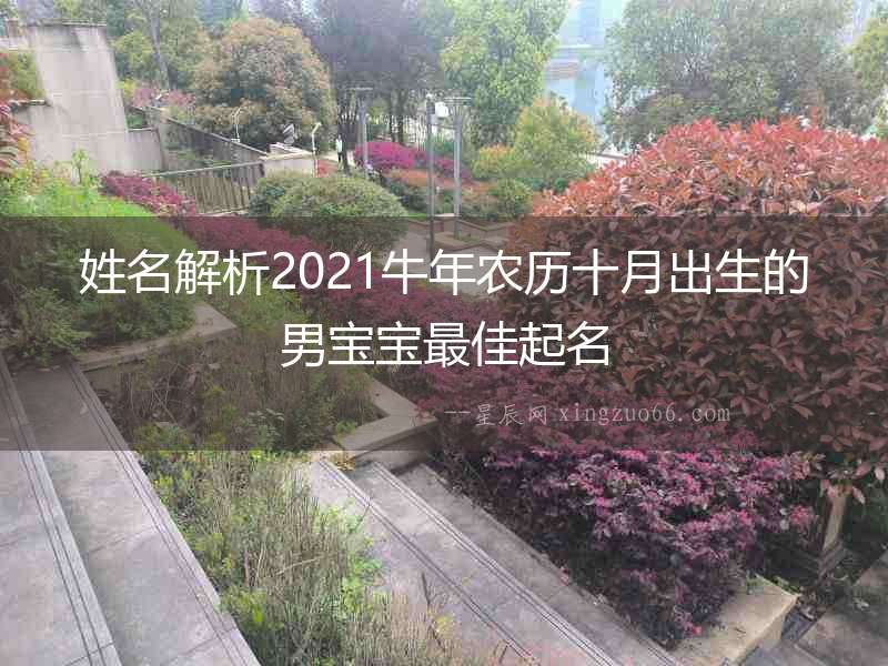 姓名解析2021牛年農歷十月出生的男寶寶最佳起名