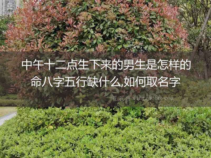 中午十二點生下來的男生是怎樣的命八字五行缺什么,如何取名字