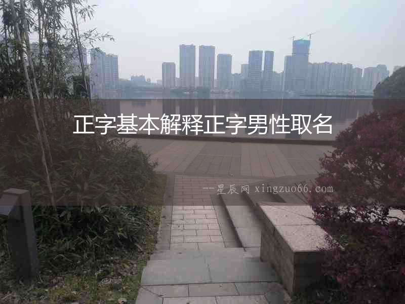 正字基本解釋正字男性取名