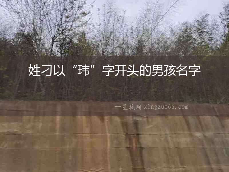 姓刁以“瑋”字開頭的男孩名字