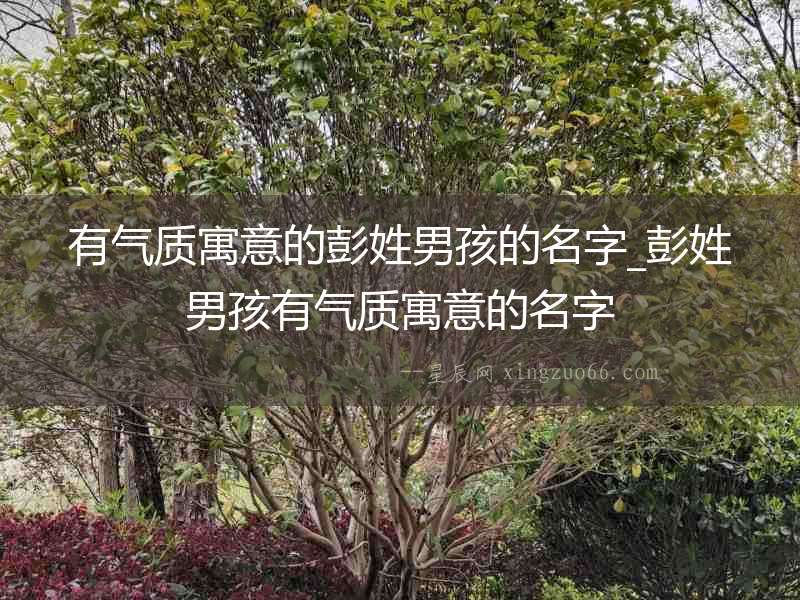 有氣質(zhì)寓意的彭姓男孩的名字_彭姓男孩有氣質(zhì)寓意的名字