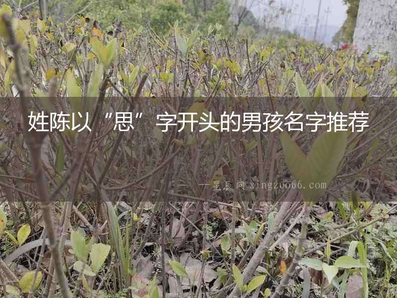 姓陳以“思”字開頭的男孩名字推薦