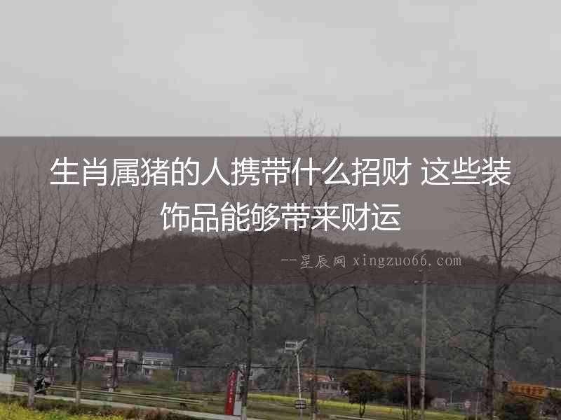 生肖屬豬的人攜帶什么招財 這些裝飾品能夠帶來財運