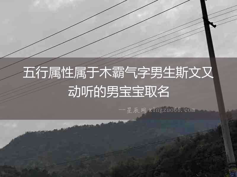 五行屬性屬于木霸氣字男生斯文又動聽的男寶寶取名