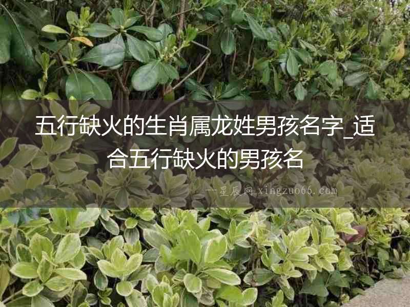 五行缺火的生肖屬龍姓男孩名字_適合五行缺火的男孩名