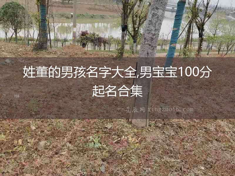 姓董的男孩名字大全,男寶寶100分起名合集