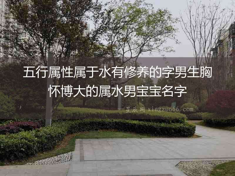 五行屬性屬于水有修養(yǎng)的字男生胸懷博大的屬水男寶寶名字