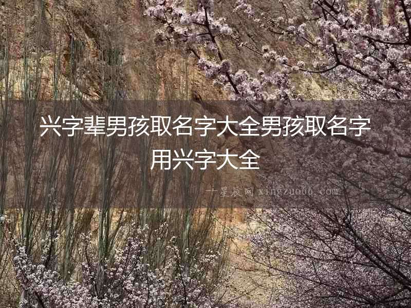 興字輩男孩取名字大全男孩取名字用興字大全