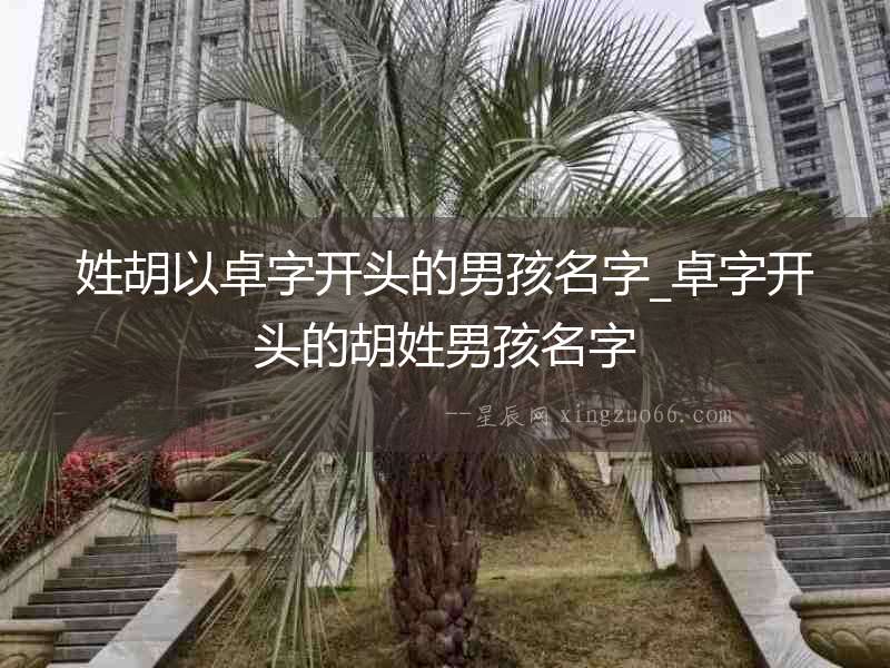 姓胡以卓字開頭的男孩名字_卓字開頭的胡姓男孩名字