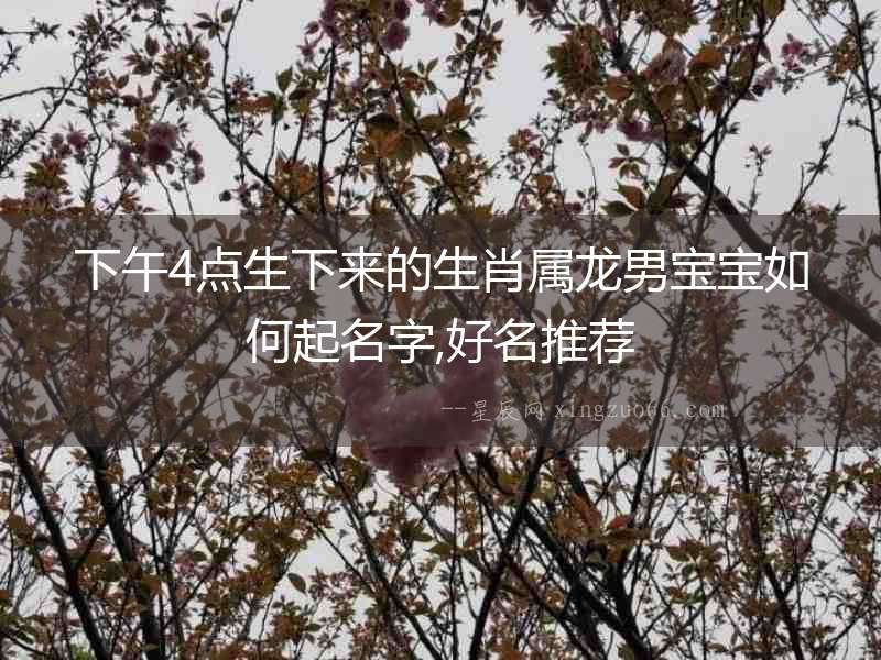 下午4點生下來的生肖屬龍男寶寶如何起名字,好名推薦