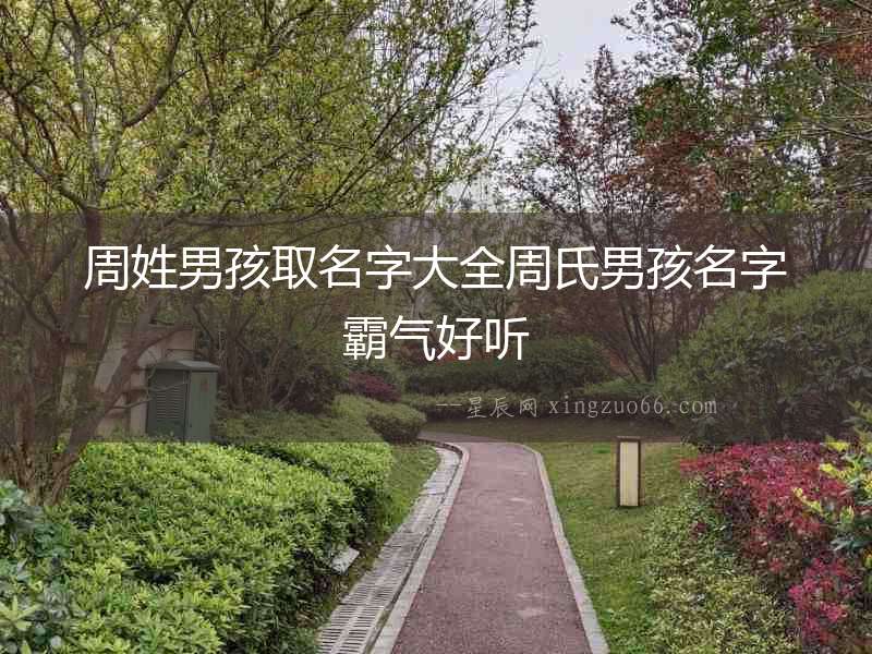 周姓男孩取名字大全周氏男孩名字霸氣好聽