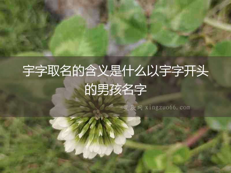 宇字取名的含義是什么以宇字開頭的男孩名字
