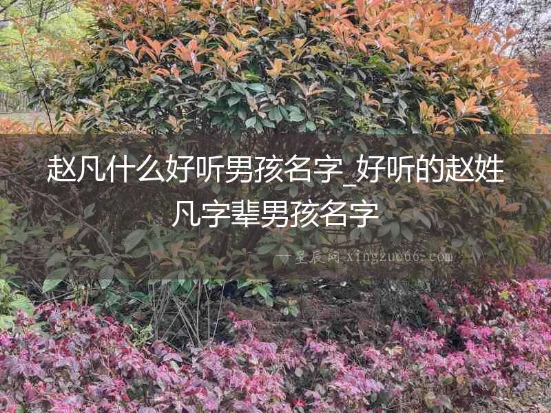 趙凡什么好聽男孩名字_好聽的趙姓凡字輩男孩名字