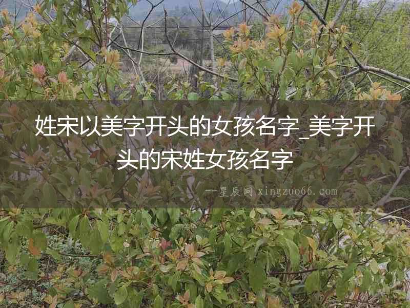 姓宋以美字開頭的女孩名字_美字開頭的宋姓女孩名字