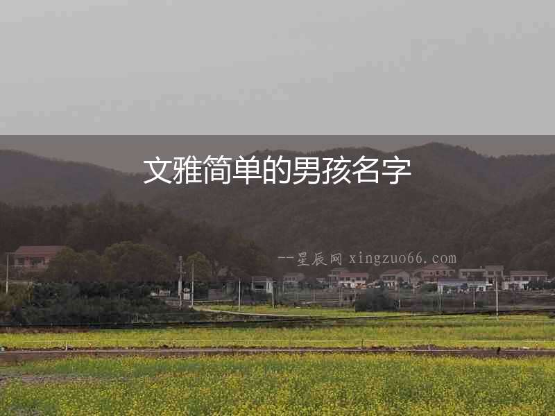 文雅簡單的男孩名字