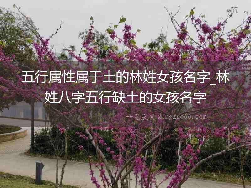 五行屬性屬于土的林姓女孩名字_林姓八字五行缺土的女孩名字