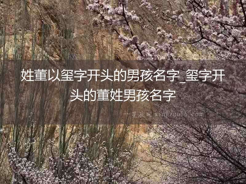 姓董以璽字開頭的男孩名字_璽字開頭的董姓男孩名字