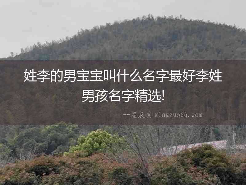 姓李的男寶寶叫什么名字最好李姓男孩名字精選!