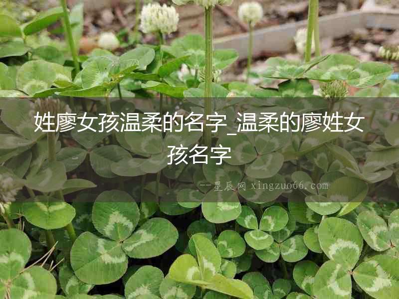 姓廖女孩溫柔的名字_溫柔的廖姓女孩名字