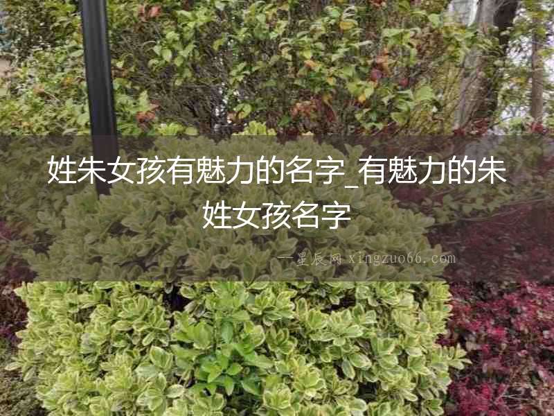 姓朱女孩有魅力的名字_有魅力的朱姓女孩名字