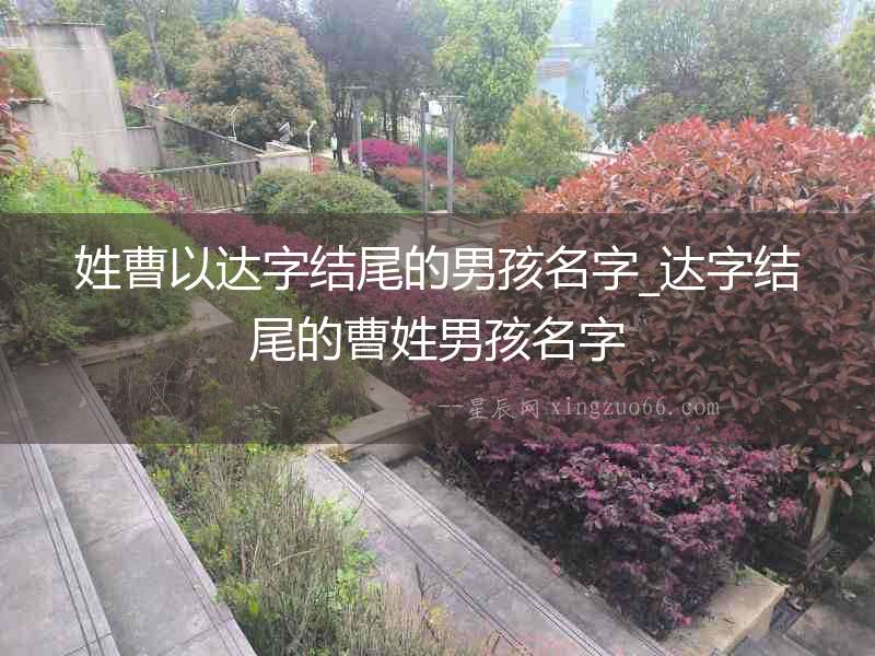姓曹以達字結尾的男孩名字_達字結尾的曹姓男孩名字