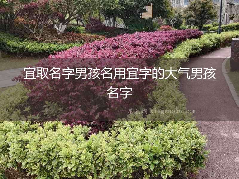 宜取名字男孩名用宜字的大氣男孩名字