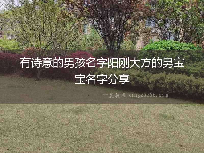 有詩意的男孩名字陽剛大方的男寶寶名字分享