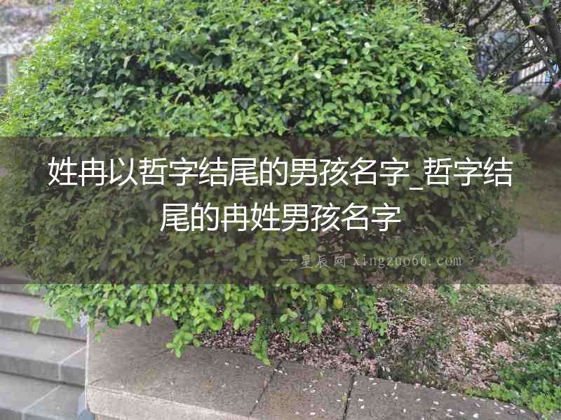 姓冉以哲字結尾的男孩名字_哲字結尾的冉姓男孩名字