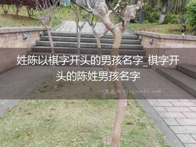 姓陳以棋字開頭的男孩名字_棋字開頭的陳姓男孩名字
