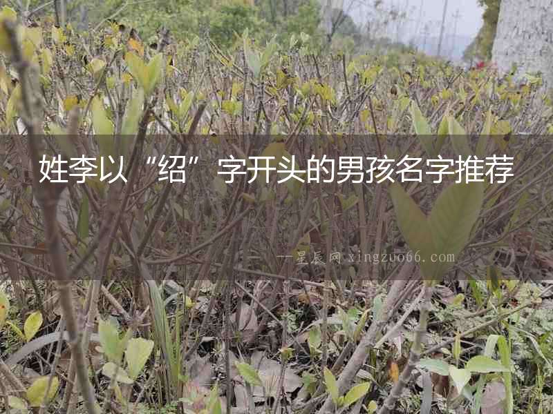 姓李以“紹”字開頭的男孩名字推薦