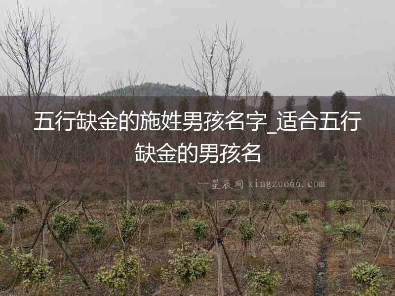 五行缺金的施姓男孩名字_適合五行缺金的男孩名