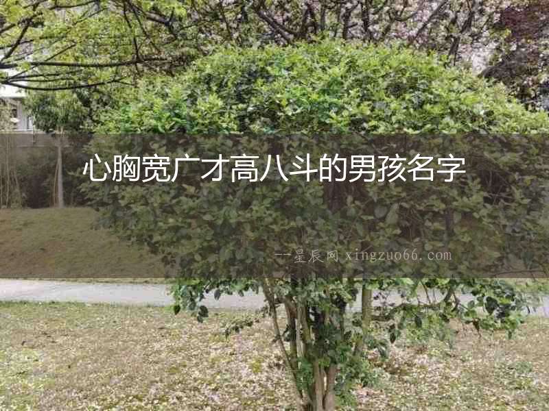 心胸寬廣才高八斗的男孩名字