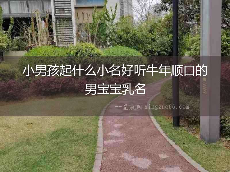 小男孩起什么小名好聽牛年順口的男寶寶乳名