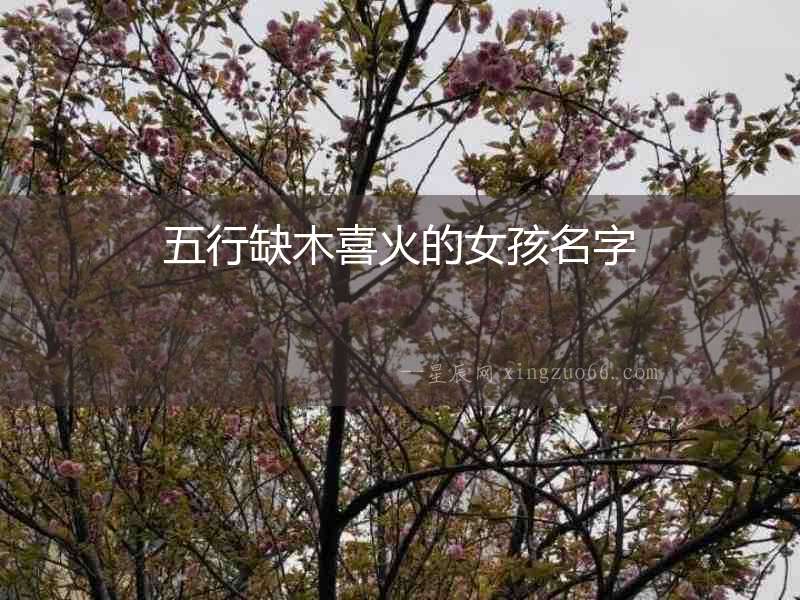 五行缺木喜火的女孩名字