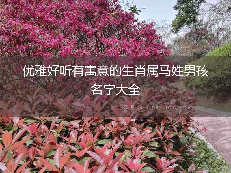 優雅好聽有寓意的生肖屬馬姓男孩名字大全