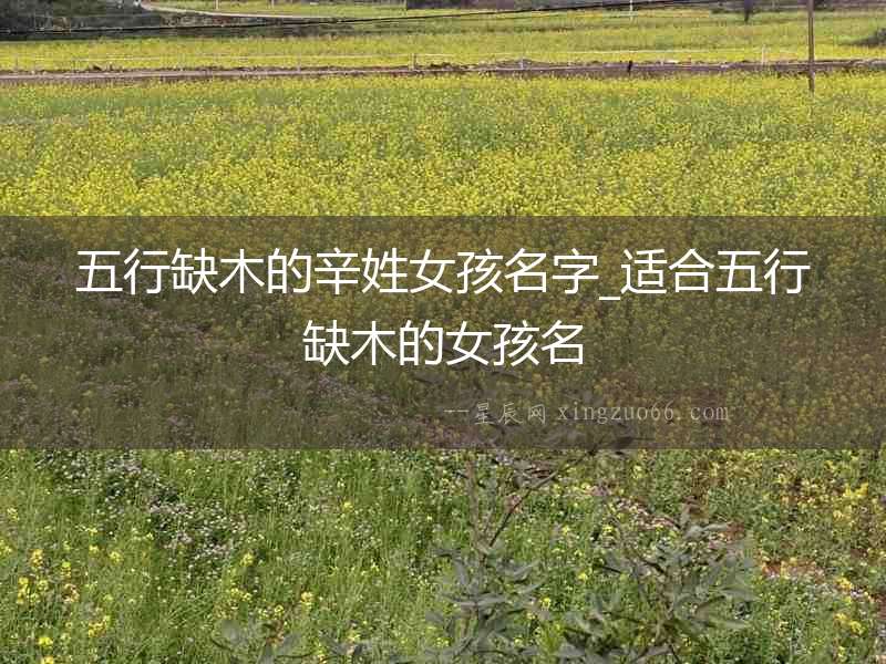 五行缺木的辛姓女孩名字_適合五行缺木的女孩名