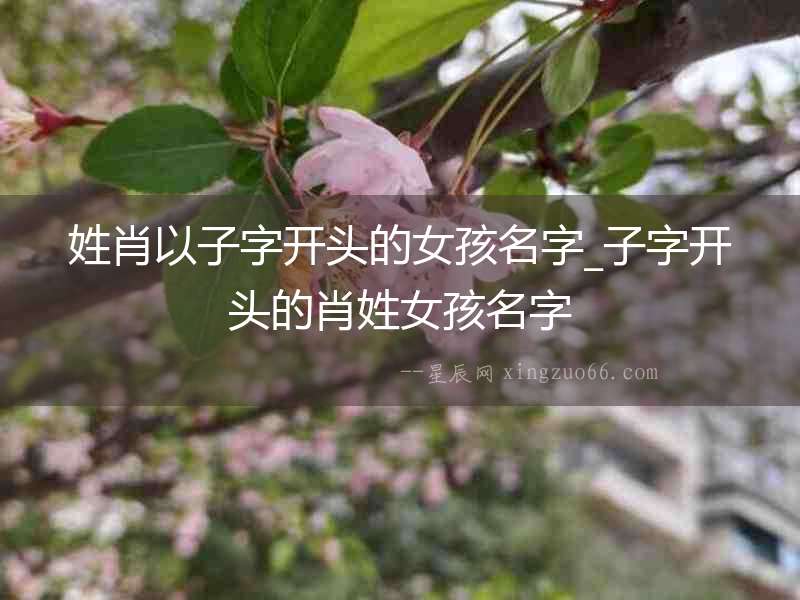 姓肖以子字開頭的女孩名字_子字開頭的肖姓女孩名字