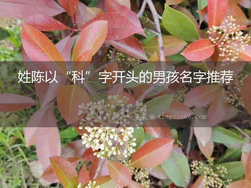 姓陳以“科”字開頭的男孩名字推薦