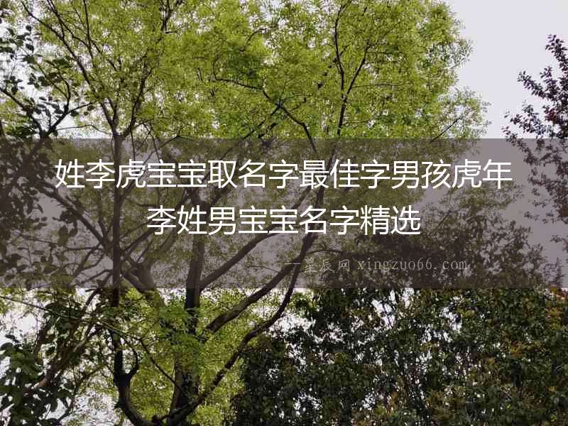 姓李虎寶寶取名字最佳字男孩虎年李姓男寶寶名字精選