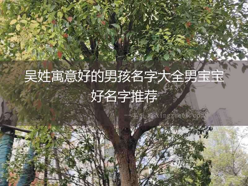 吳姓寓意好的男孩名字大全男寶寶好名字推薦